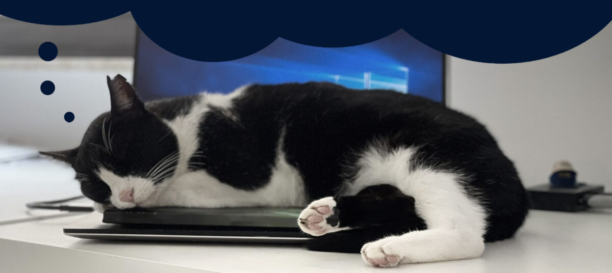 Der Marketing Digitalisierer