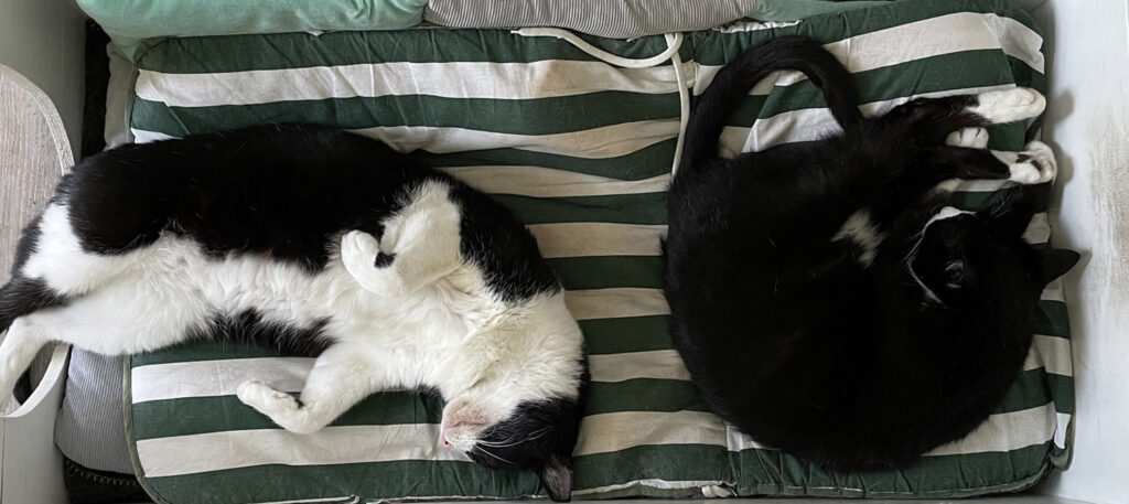 Double Opt-In mit Pardot