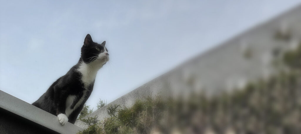 Jede Page ist eine Landingpage