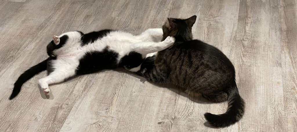 Marketing Automation