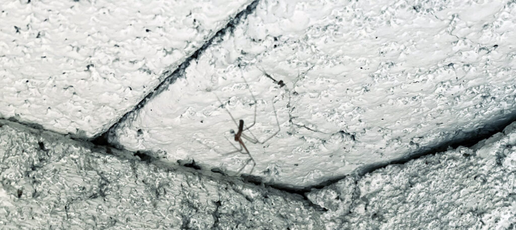 Strategisches SEO Teil 1