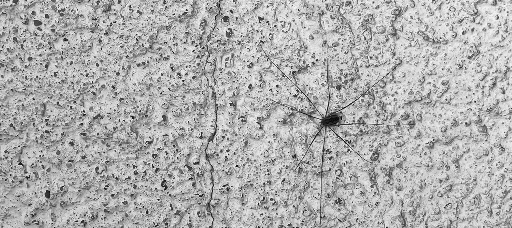 Strategisches SEO KPI und Ziele