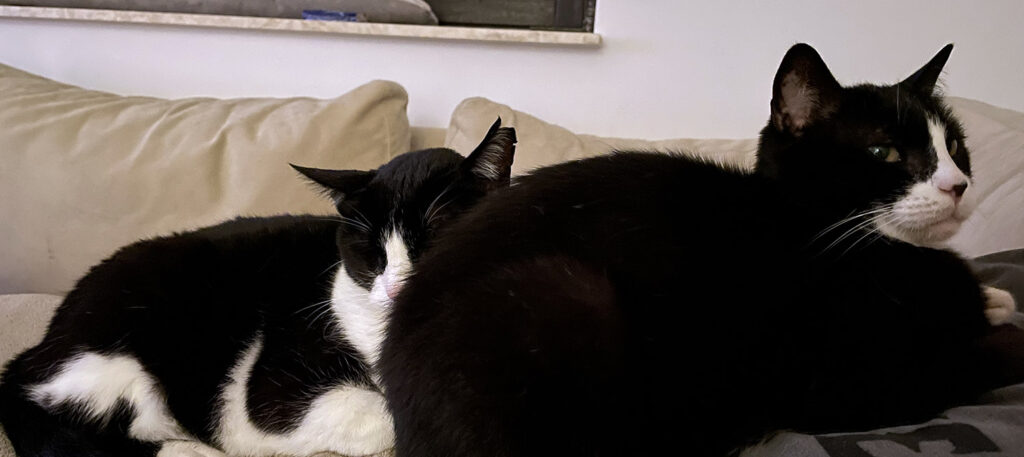 Templates richtig genutzt