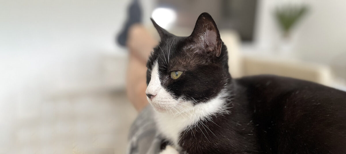 Content Marketing Tipps