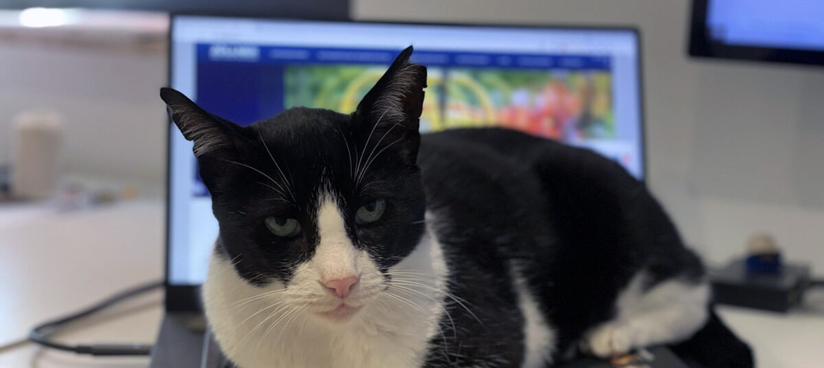 Social Media Breakdown: ZÖLLNER Signal GmbH