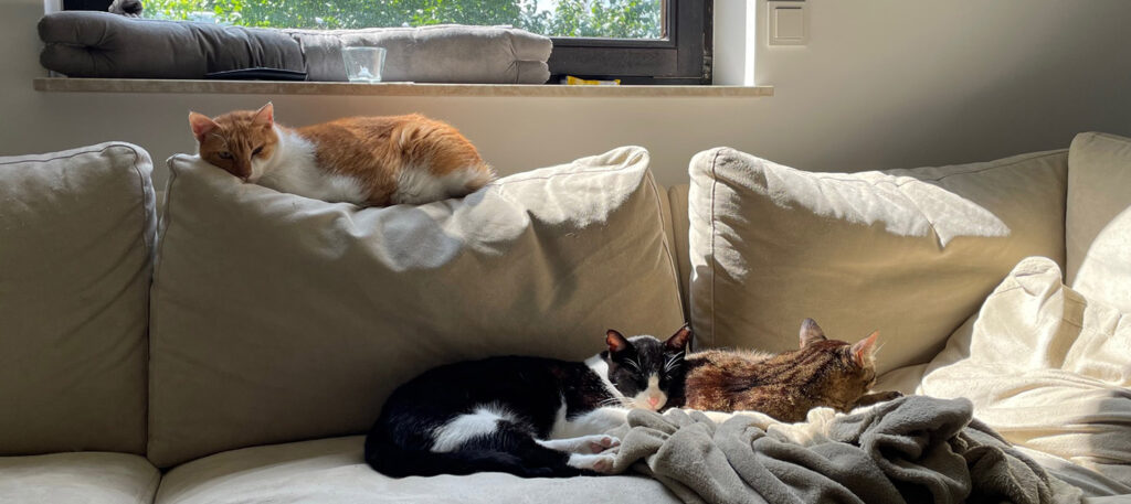 Marketing Automation - 3 Ideen